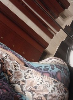 Selma - escort in Dubai Photo 7 of 7