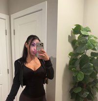 Selta - escort in Bradford