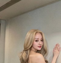 Sena - escort in Hanoi