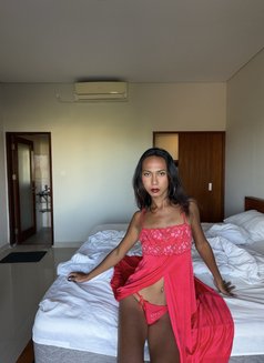 Senna Alora Ts/Ladyboy bottom - Acompañantes transexual in Bali Photo 20 of 26