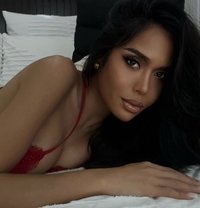 ASIA’S BROWN SAUSAGE - Transsexual escort in Rome