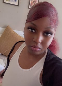 Sera - escort in Noida Photo 6 of 6