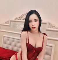 Sera’ Good Service Vip - Transsexual escort in Muscat