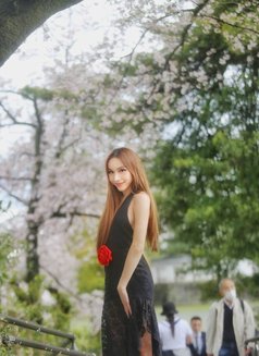 Serena Juliet - escort in Bangkok Photo 1 of 11