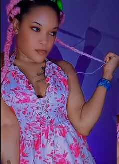 Serena Just Arrived Khobar - escort in Khobar Photo 7 of 7