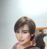 Serena - Transsexual escort in Şalālah