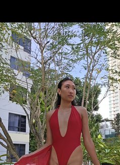 Serene 🤎 Natural Filipina Beauty - escort in Kuala Lumpur Photo 7 of 9