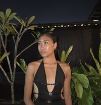 Serene 🤎 Natural Filipina Beauty - escort in Singapore Photo 3 of 9