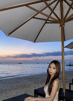 Serfina - Transsexual escort in Manila Photo 1 of 9