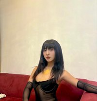 Serine Dion - Transsexual escort in Bangalore