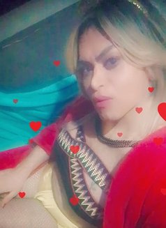 Sernan Bedr - Transsexual escort in Beirut Photo 6 of 15
