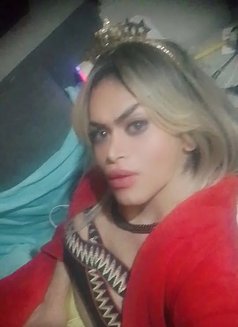 Sernan Bedr - Transsexual escort in Beirut Photo 7 of 15