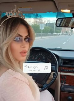 Sernan Bedr - Transsexual escort in Beirut Photo 9 of 15