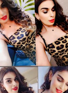 Rochelle fullservice available cam ava - Acompañantes transexual in Colombo Photo 3 of 9