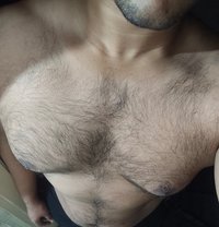 Service Provider - Intérprete masculino de adultos in New Delhi