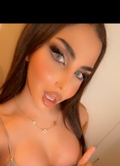 Sese alali - Transsexual escort in Beirut Photo 10 of 10