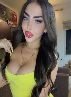 Sese alali - Transsexual escort in Beirut Photo 3 of 14
