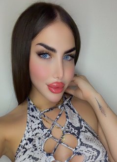 Sese alali - Acompañantes transexual in Beirut Photo 18 of 25