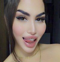 Sese alali - Acompañantes transexual in Beirut