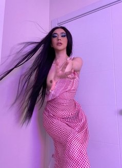 SESILIA PORNSTAR - Acompañantes transexual in Dubai Photo 1 of 20