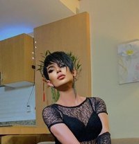 Seville Xxl - Transsexual escort in Dubai