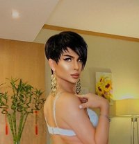 Seville Xxl - Acompañantes transexual in Dubai