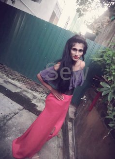 Sew fernandez - Transsexual escort in Colombo Photo 9 of 17