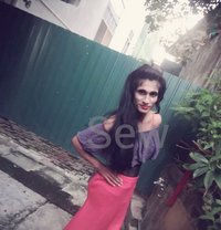 Sew fernandez - Transsexual escort in Colombo