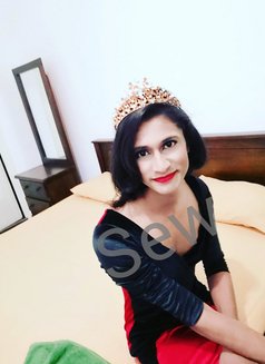 Sew fernandez - Transsexual escort in Colombo Photo 17 of 17