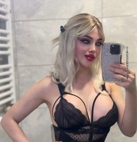 XXL هيفاء عربية VVIP - Transsexual escort in İstanbul
