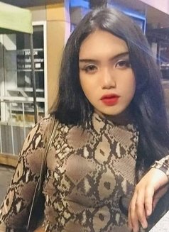 Sexbabe - Transsexual escort in Bangkok Photo 1 of 1