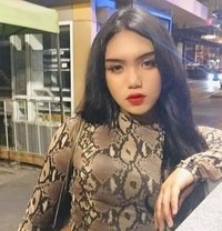 Sexbabe - Transsexual escort in Bangkok