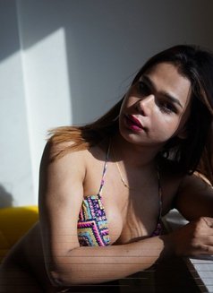 Sexiest Shemale - Transsexual escort in New Delhi Photo 4 of 9