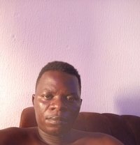 Sextee - Acompañantes transexual in Kuwait