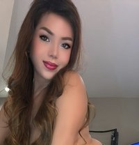 SEXUAL PREDATOR AVAILABLE TS RUBI - Transsexual escort in Phuket