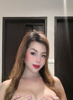 SEXUAL PREDATOR AVAILABLE TS RUBI - Acompañantes transexual in Phuket Photo 5 of 30