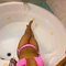 Sexy Aaliyah (Anal,RIM,CIM,GFE, 69,Oral) - escort in Abu Dhabi Photo 2 of 4
