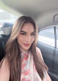 Sexy Anna Just Arrived 17cm thick - Transsexual escort in Taipei Photo 25 of 25