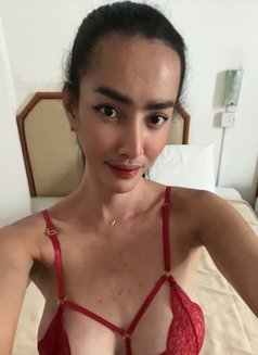 Sexy anne ( just arrived ) - Transsexual escort in Singapore Photo 21 of 22