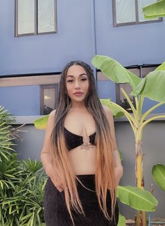 Sexy ass available and leaving soon - escort in Phuket Photo 7 of 12