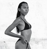 Sexy Bali Model, Ayden - Transsexual escort in Bali