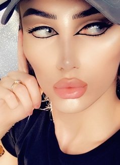 ***** Sexy Barbie Luxy Ajman ****** - Transsexual escort in Ajmān Photo 10 of 30