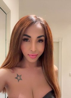 Sexy Bitch33 - Transsexual escort in Jerusalem Photo 6 of 6