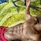 BIG BLACK - Male escort in Riyadh
