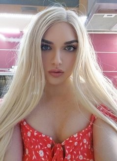 Sexy Blonde Shemale - Transsexual escort in İstanbul Photo 13 of 13