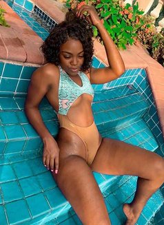 Sexy Body Young Girl Sophie - escort in Guangzhou Photo 1 of 3