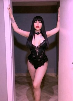 Sexy bome Ladyboy thailand - Acompañantes transexual in Riyadh Photo 2 of 12