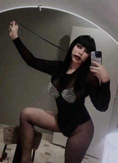 Sexy bome Ladyboy thailand - Acompañantes transexual in Riyadh Photo 9 of 12