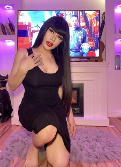 Sexy bome Ladyboy thailand - Acompañantes transexual in Riyadh Photo 10 of 12