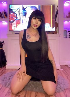 Sexy bome Ladyboy thailand - Acompañantes transexual in Riyadh Photo 12 of 12